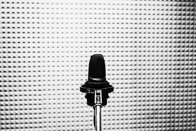 microphone, studio, audio, audio technology, vocal microphone, sound recording, singing, volume, sound, microphone, microphone, microphone, microphone, microphone, studio, singing. How to choose podcast advertising software: suite or separate tools