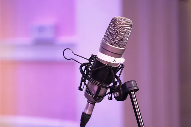 podcast, mic, equipment, microphone, audio, sound, speak, studio, communication, broadcasting, podcast, podcast, podcast, podcast, podcast. Podcast sponsorship VAT invoice fields and records